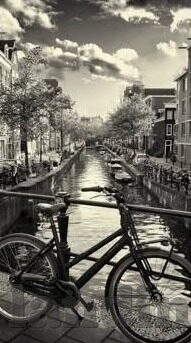 乐鱼体育直播在线-乐鱼体育直播在线——激情与互动的全新篇章