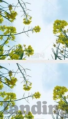 足球大赢家及时比分网-足球大赢家及时比分网，球迷的赛事指南与实时信息宝库